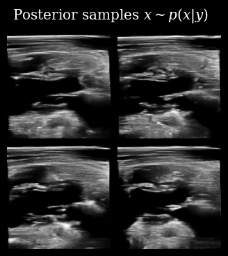 Task Based Posterior Samples